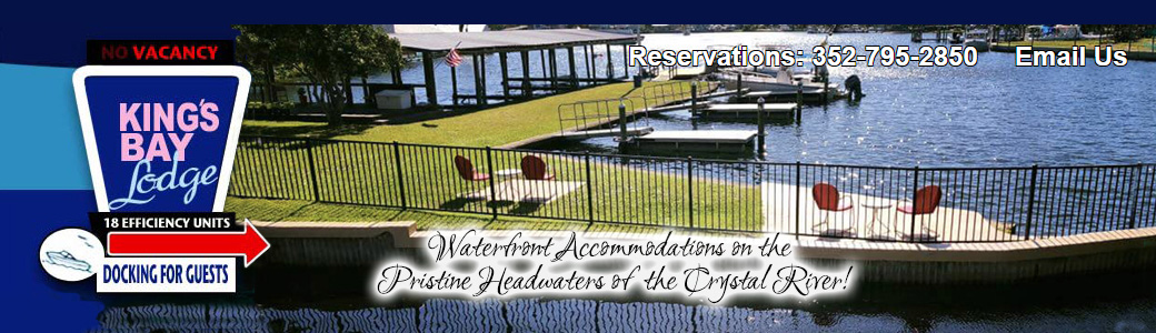 Kings Bay Lodge